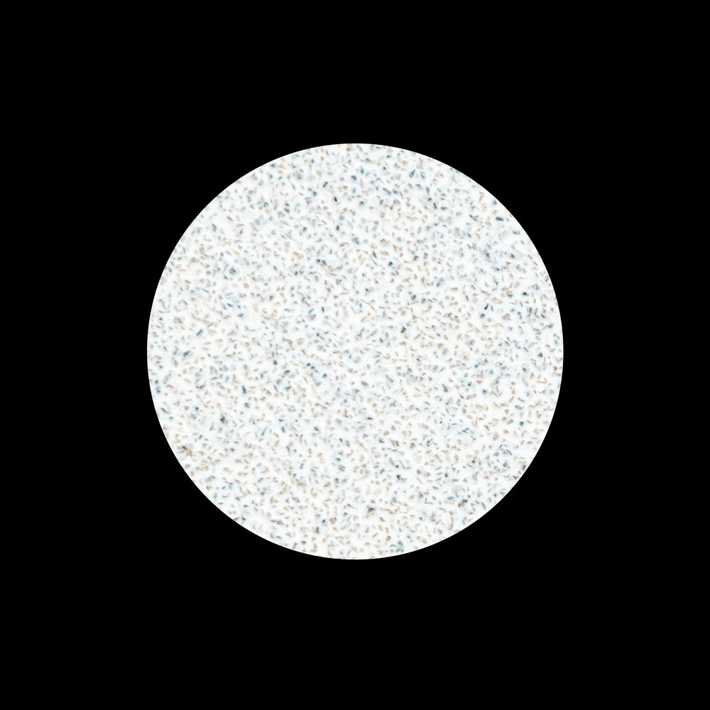 PODODISC Lime rotonde dischi per Pedicure Staleks Pro L -80 gritt - 50pz