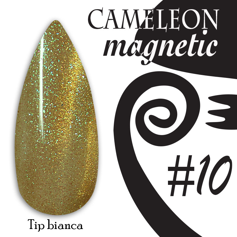 Chameleon magnetic - 010