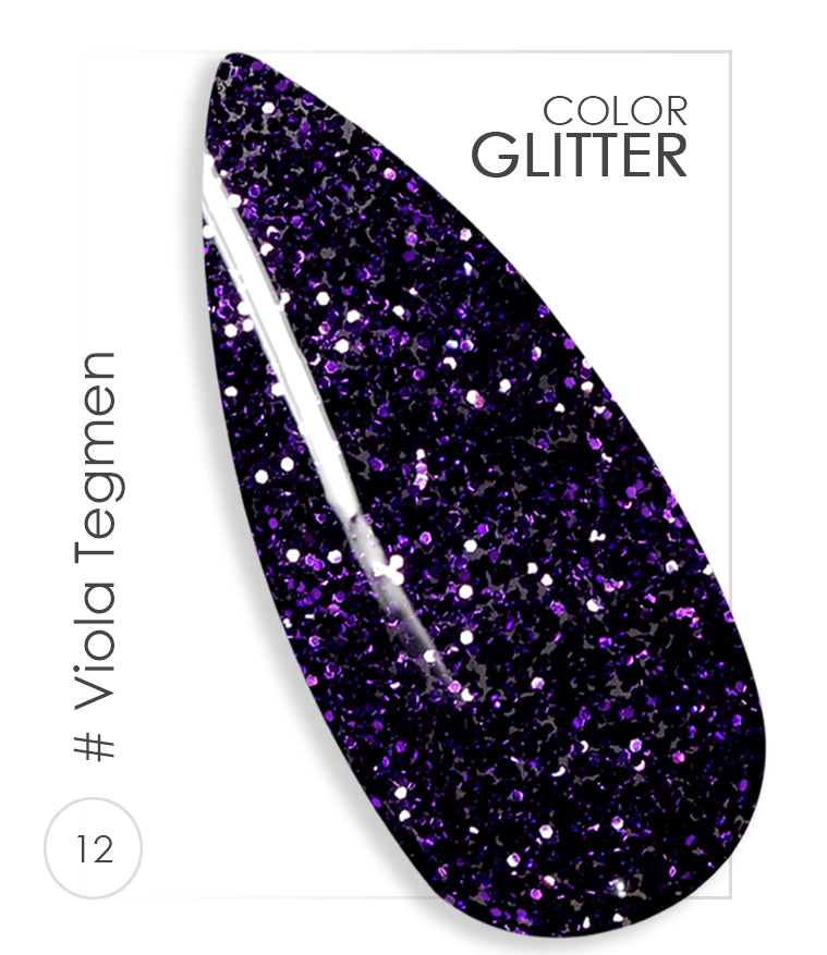 012 - Tegmen Violet - Gel UV coloré - Paillettes professionnelles BSN