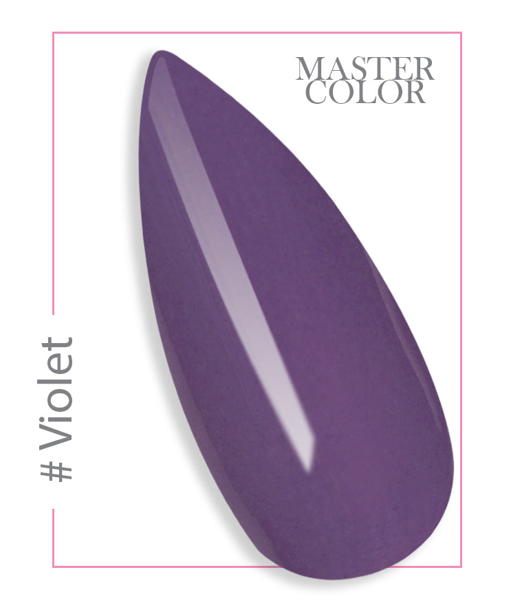 178 - Violet - Master Color - Gel colorant UV LED - 5 ml