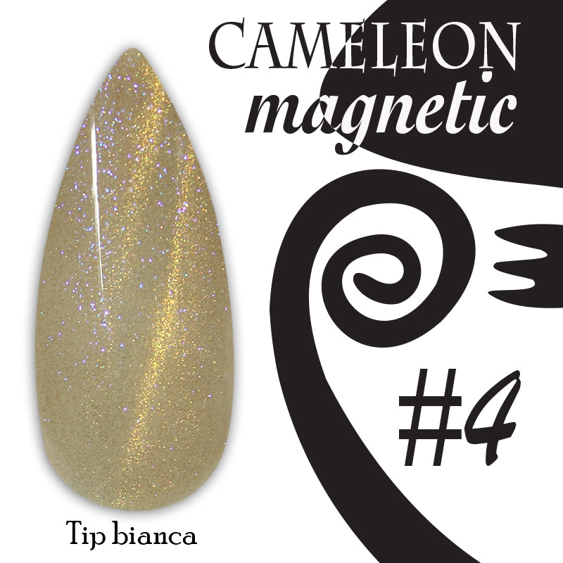 Chameleon magnetic - 004