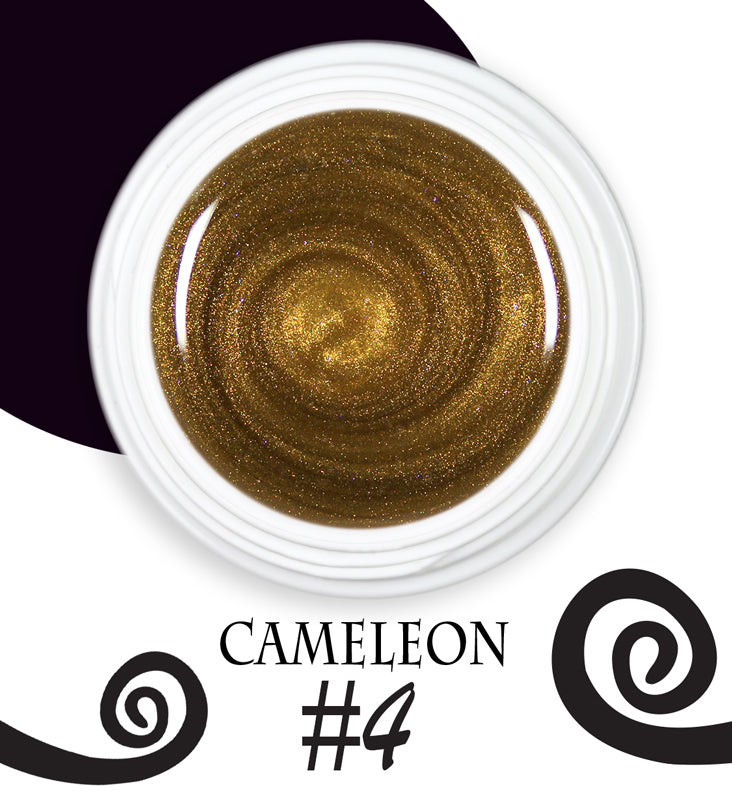 Chameleon magnetic - 004