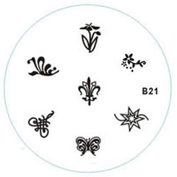 Disque de marquage B21