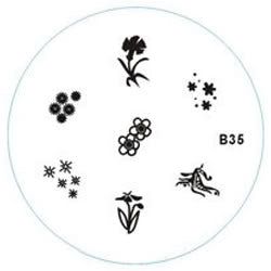 Disque de marquage B35