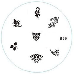 Disque de marquage B36