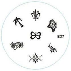 Disque de marquage B37