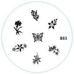 Disco Stamping B53