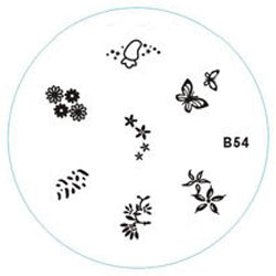 Disque de marquage B54