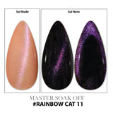 Smalto Cat Eye's effetto Rainbow - 11