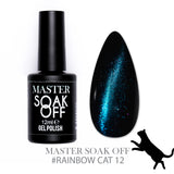 Smalto Cat Eye's effetto Rainbow - 12