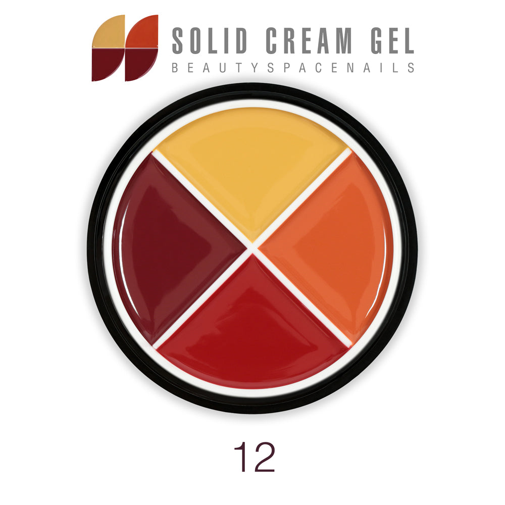 12 - Solid Cream Gel Palette 4 Colori