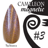 Chameleon magnetic - 003