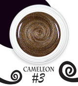 Chameleon magnetic - 003