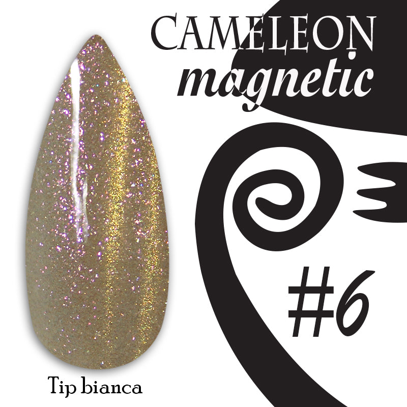 Chameleon magnetic - 006