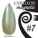 Chameleon magnetic - 007