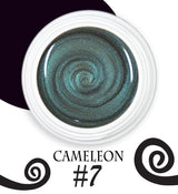 Chameleon magnetic - 007