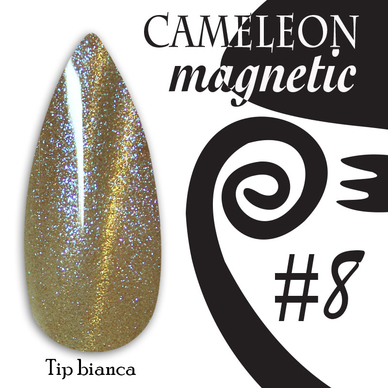 Chameleon magnetic - 008