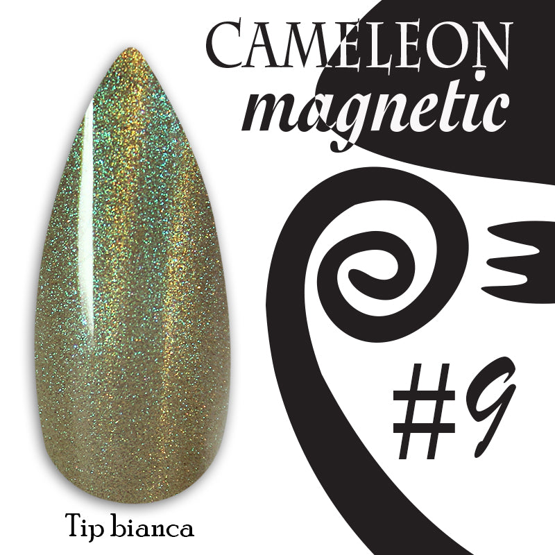 Chameleon magnetic - 009