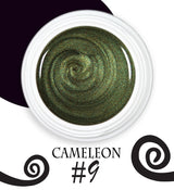 Chameleon magnetic - 009