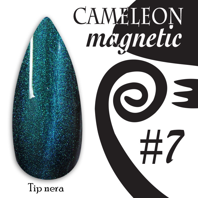 Chameleon magnetic - 007