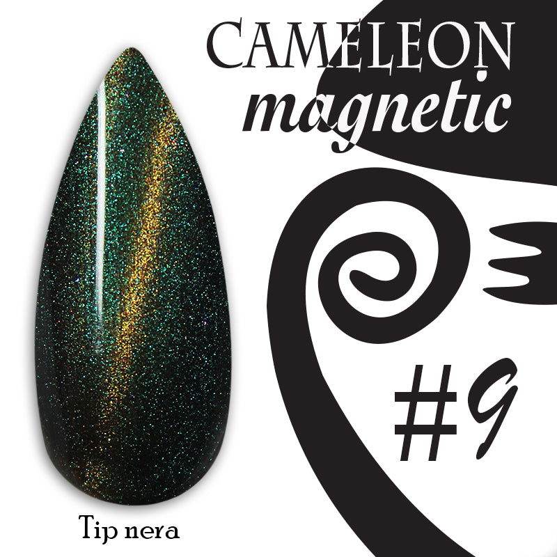 Chameleon magnetic - 009