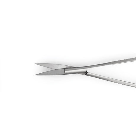 Forbicine di precisione per il taglio della nail form in acciaio inox