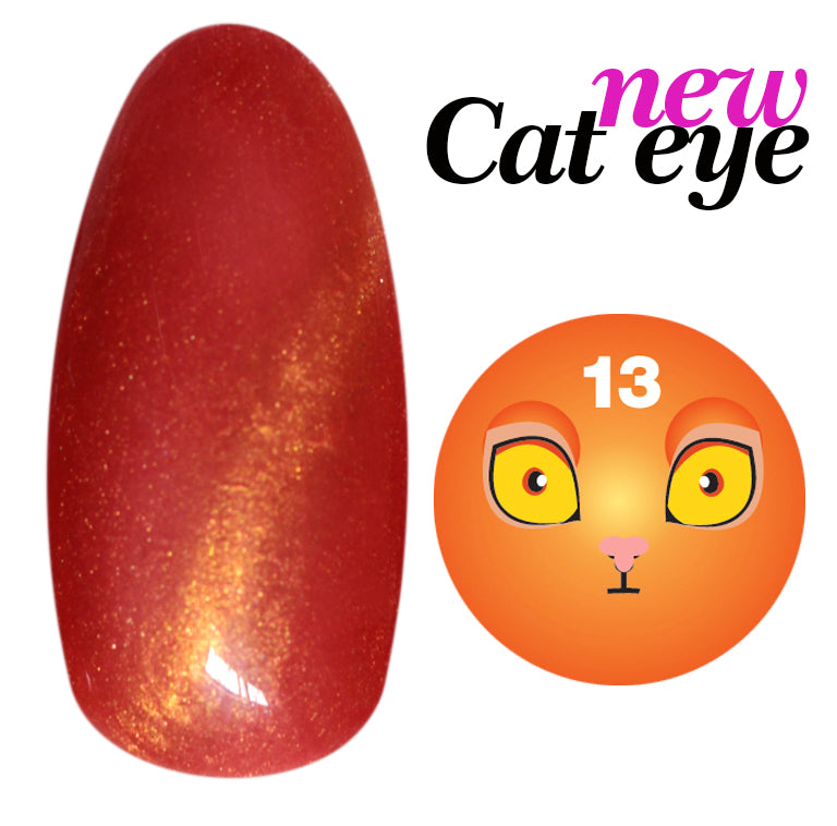 Cat Eye Gel color Uv Magnetici - #13